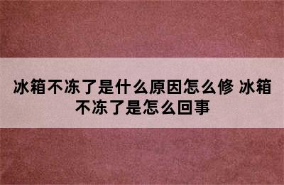 冰箱不冻了是什么原因怎么修 冰箱不冻了是怎么回事